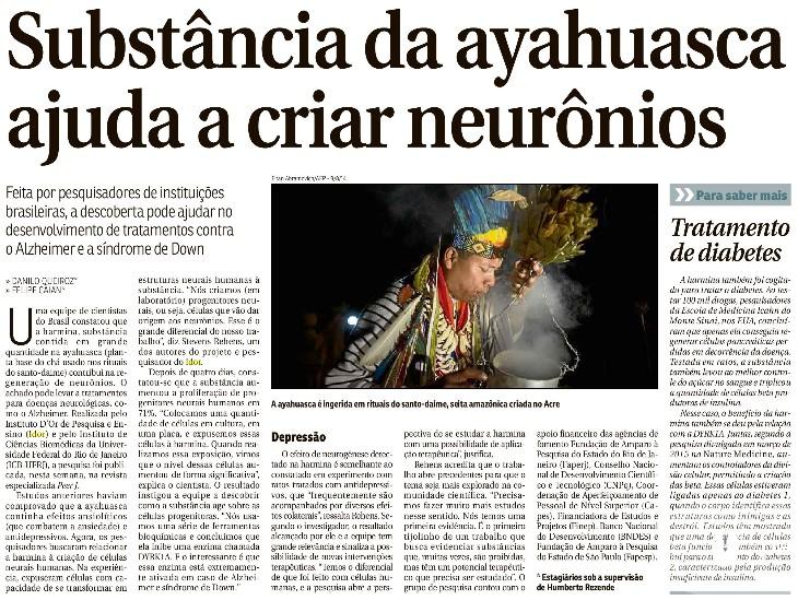 imagem de Dr Stevens Rehen comenta sobre substância na ayahuasca