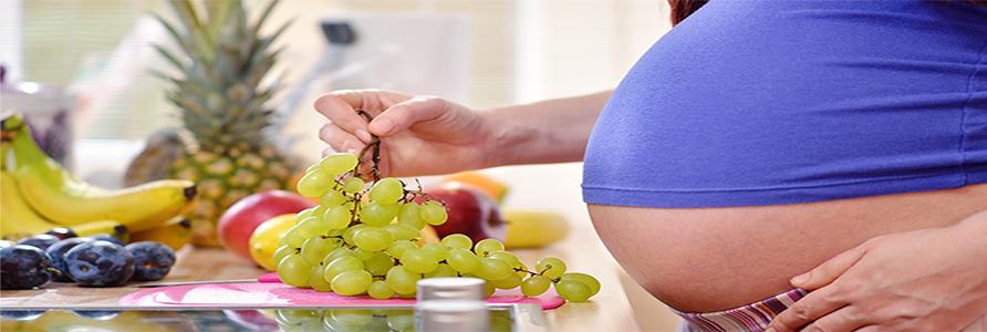 imagem de Estudo revela micronutrientes importantes para a formação do cérebro humano