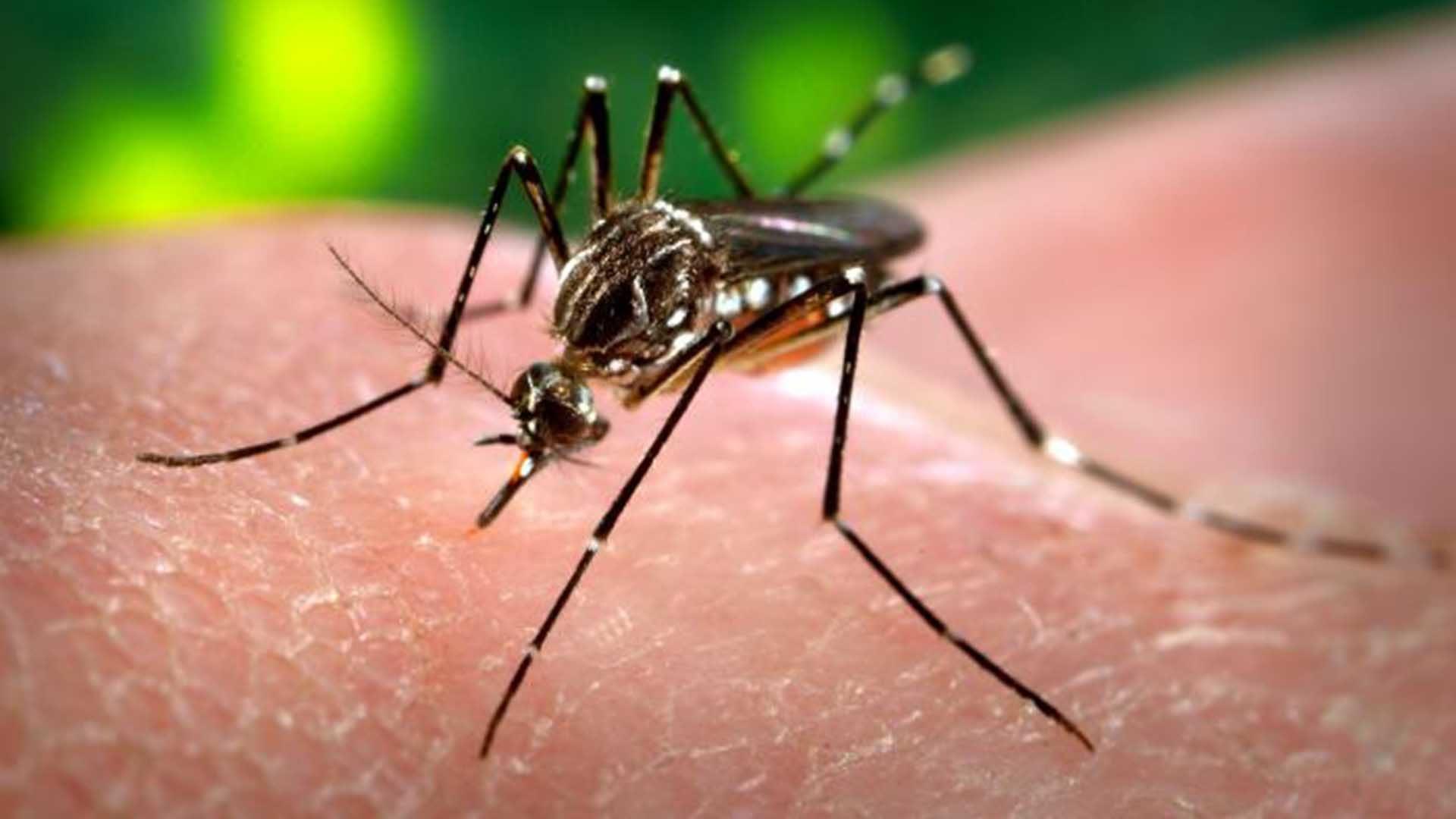 imagem de Pesquisador do IDOR ministra palestra sobre Zika na Universidade de Oxford