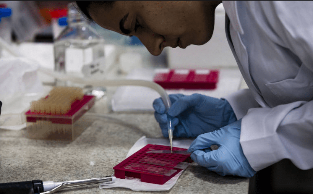 imagem de Parceria IDOR-UFRJ é destaque em ranking de universidades