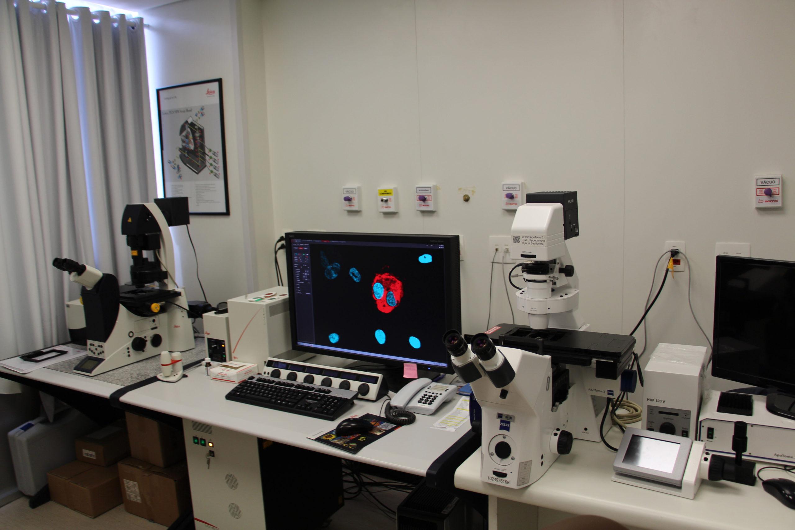 imagem de Dr. Stevens Rehen falou à Galileu sobre as pesquisas que desenvolve no IDOR.