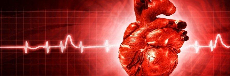 imagem de Nova Turma: Imersão em Arritmias Cardíacas