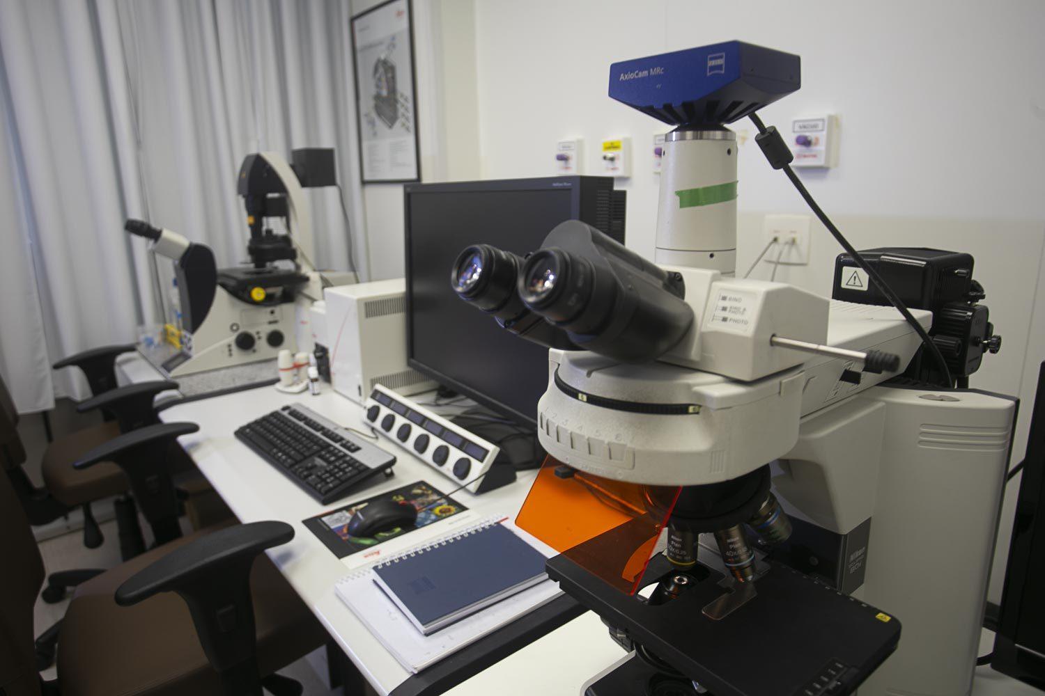 imagem de Reprodutibilidade: desafio para as ciências biomédicas