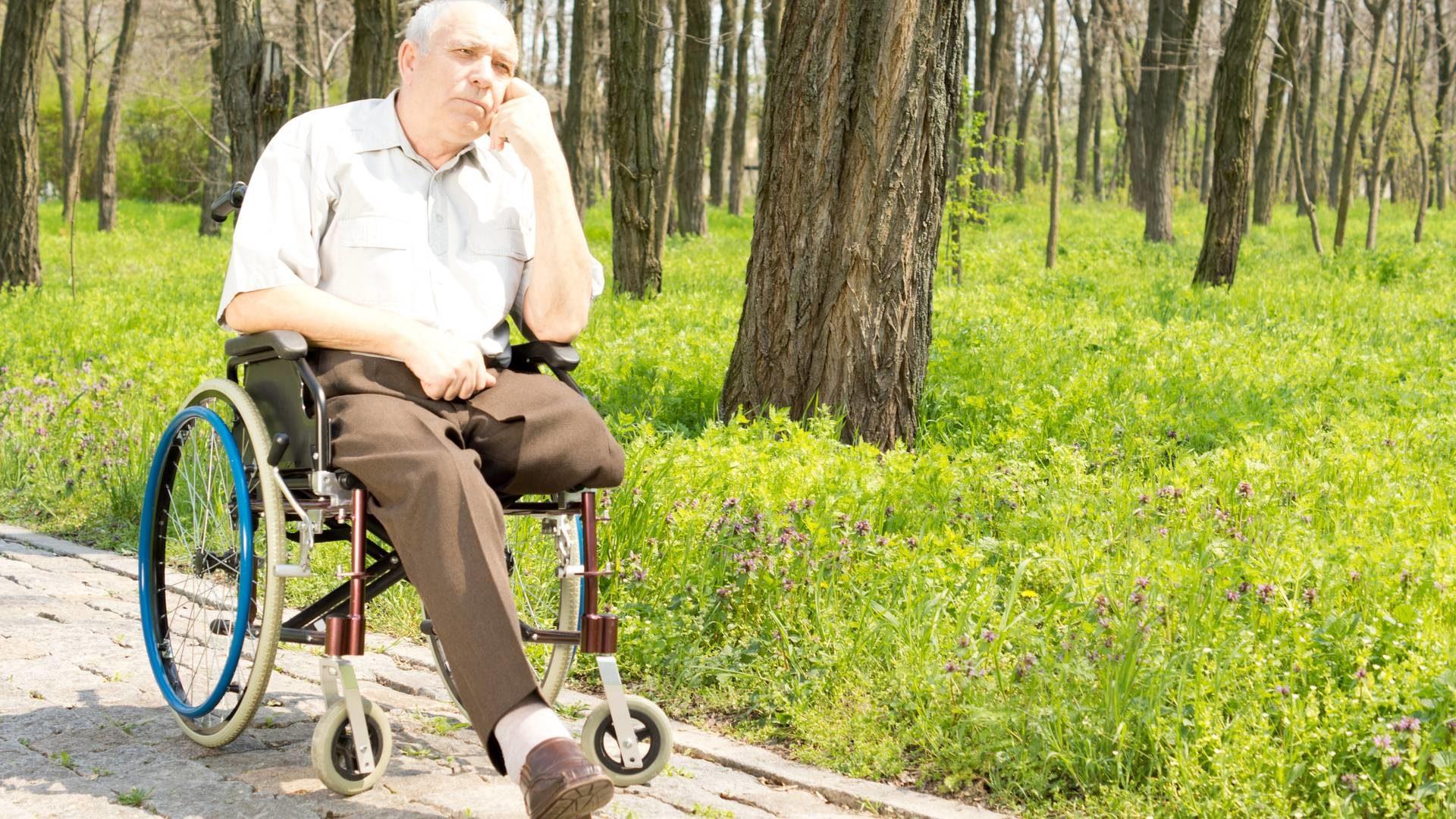 imagem de Lições sobre plasticidade cerebral