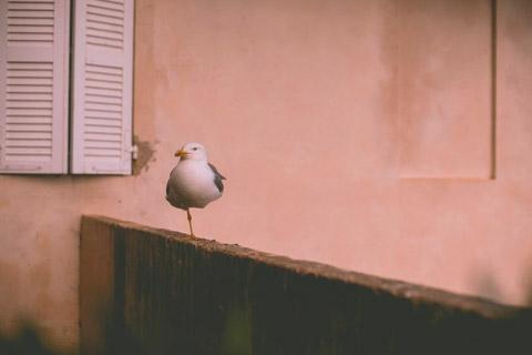 imagem de Amputação