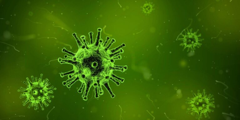 imagem de Anticorpos humanos e a infecção por SARS-CoV-2