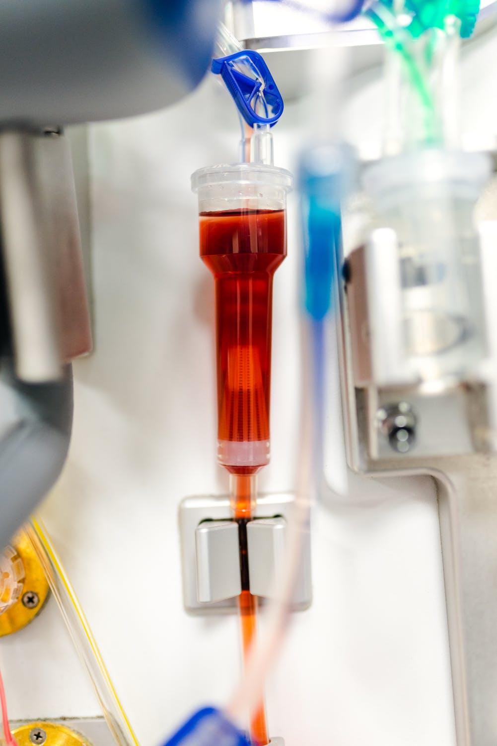 imagem de Sangue de convalescentes do coronavírus pode ajudar no combate à COVID-19