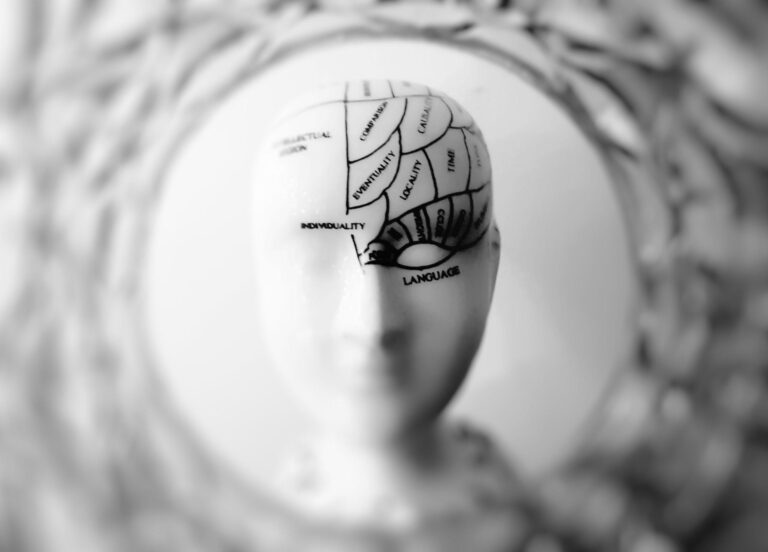 imagem de Vários caminhos para a Neurociência