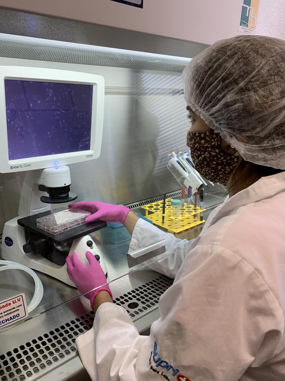 Novos avanços no entendimento da esquizofrenia