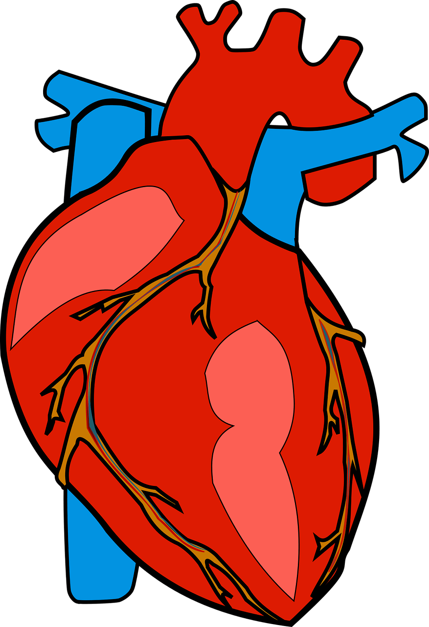 imagem de Miocardite decorrente de infecção por Sars-Cov-2 em adolescente