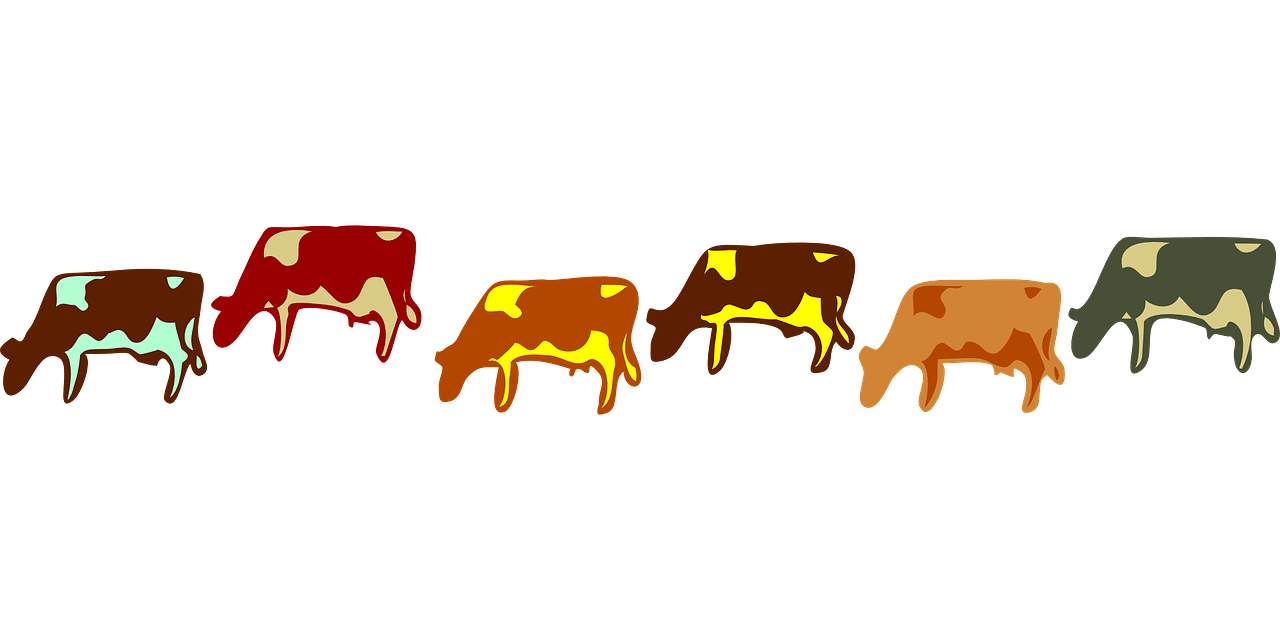 imagem de O efeito rebanho de Manaus