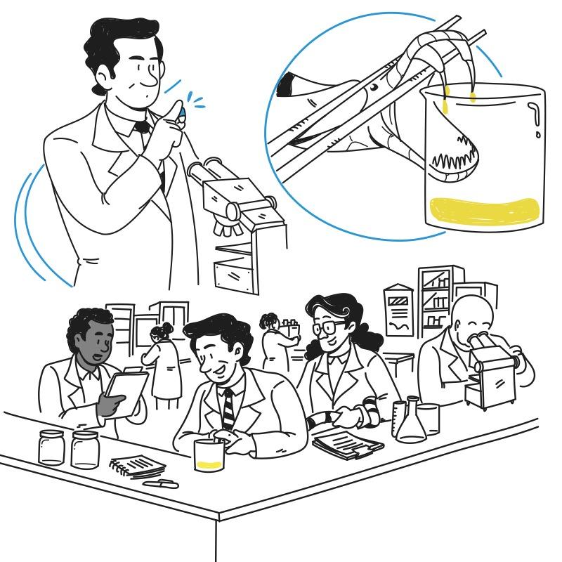 imagem de IDOR e ABC criam minibiografia animada do pesquisador Maurício Rocha e Silva