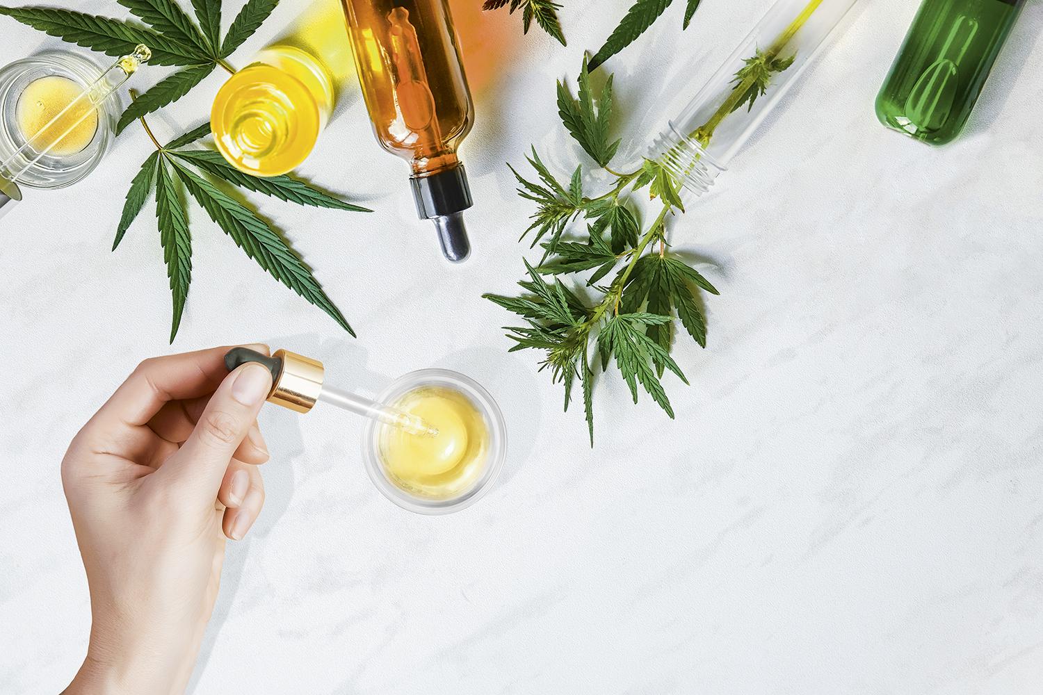 imagem de Veja Rio: Sim, a maconha medicinal já é uma realidade no Rio