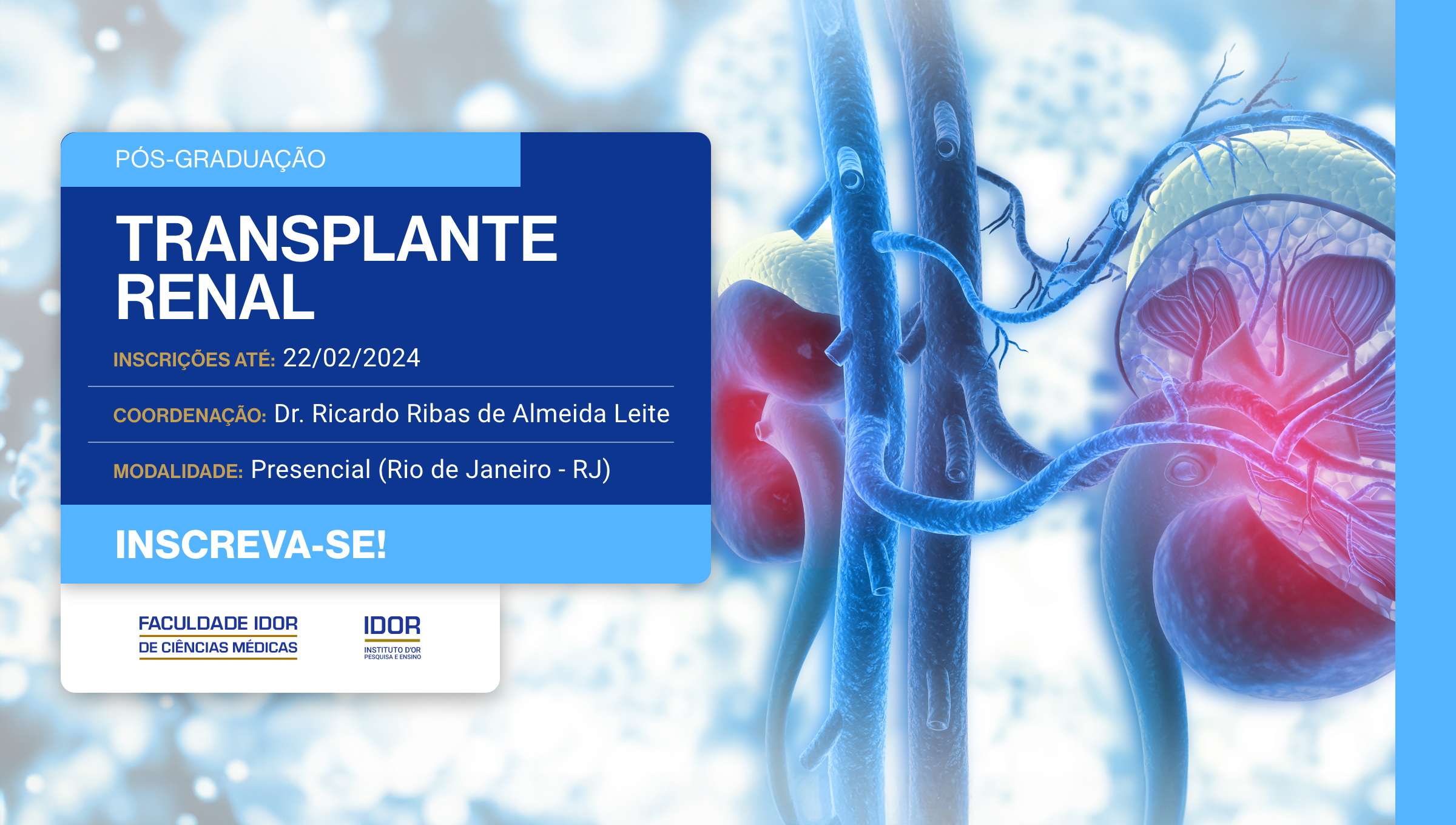 imagem de Faculdade IDOR abre inscrições para Pós-Graduação em Transplante Renal