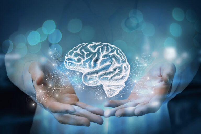 O Grupo de Neurociências dos Valores e Crenças está com Recrutamento Aberto para Vaga de Doutorado e Assistente de Pesquisa
