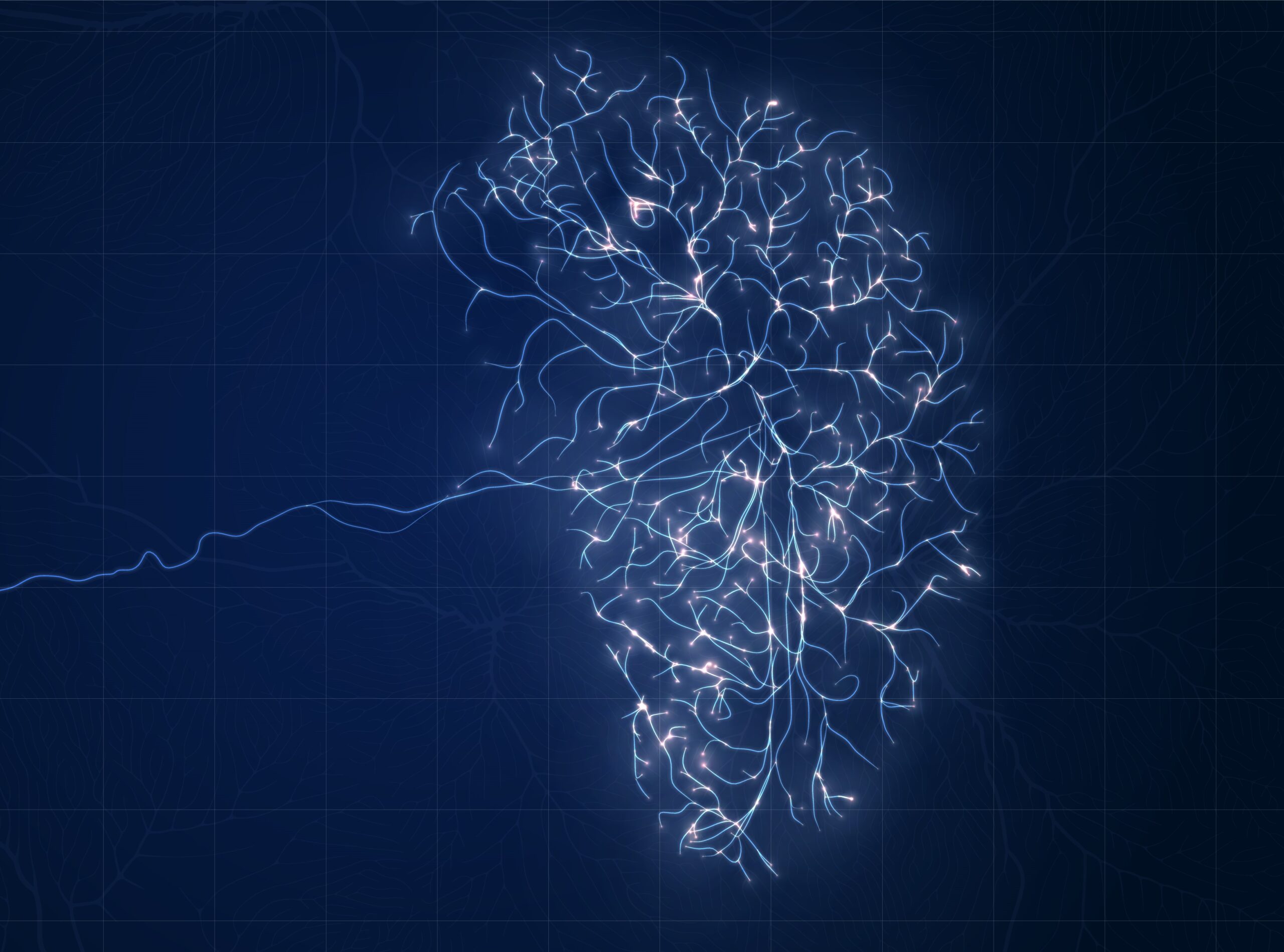 imagem de Integração de Dados Globais e Ética em Neurociência
