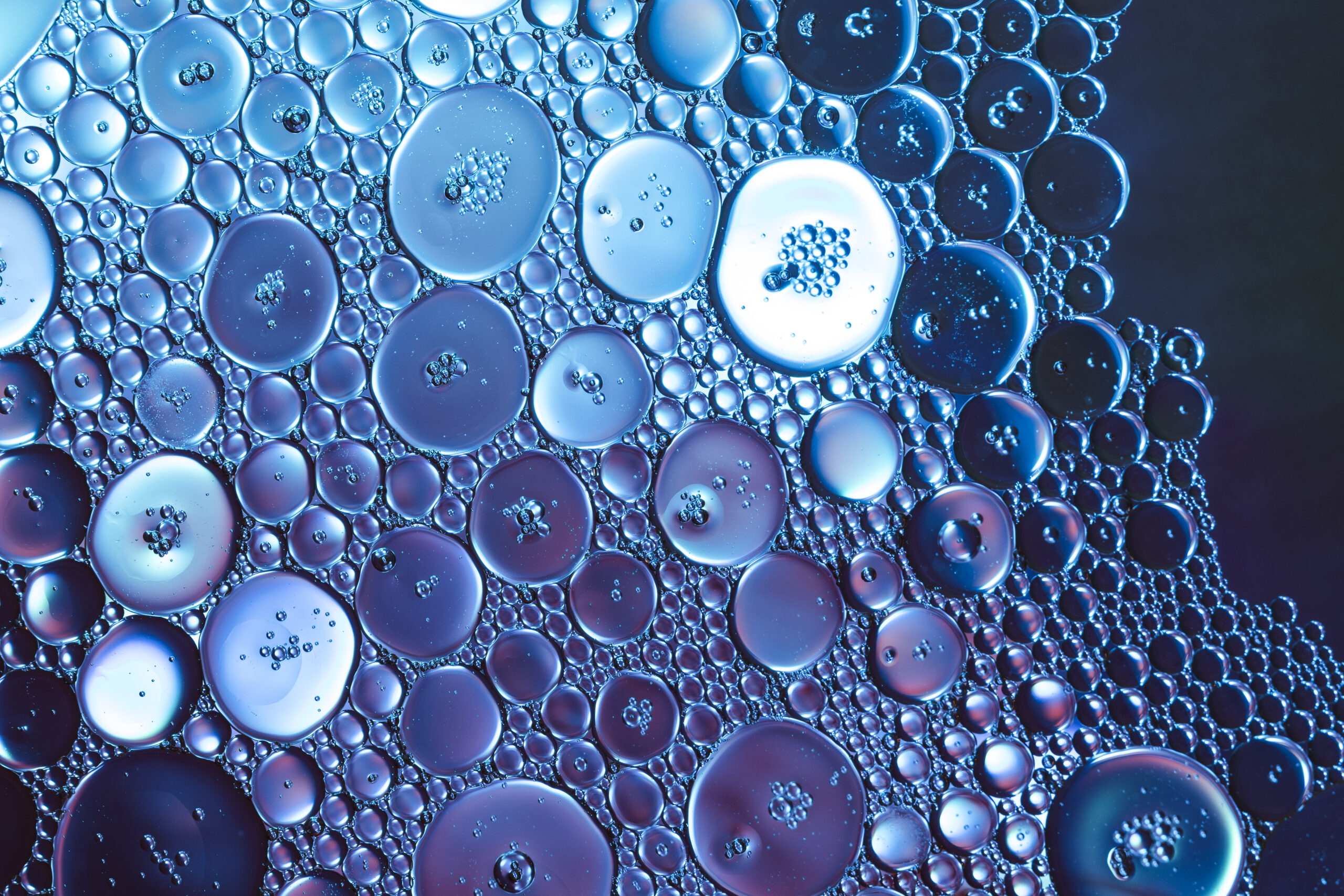 Estudos com microvesículas podem fornecer biomarcadores importantes para o câncer de mama e doenças cardiovasculares