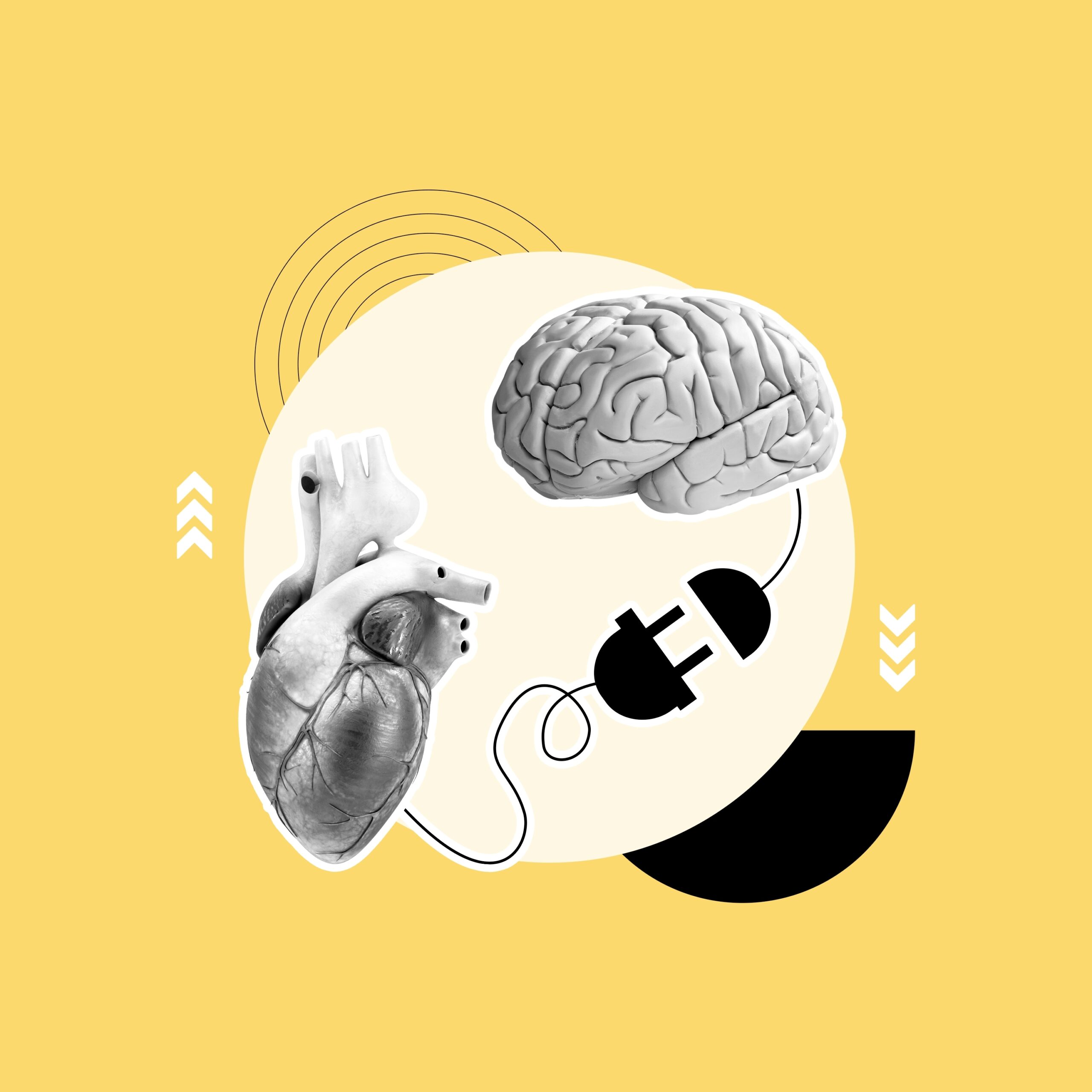 Afetoma Humano: os mistérios (e propósitos) das emoções humanas