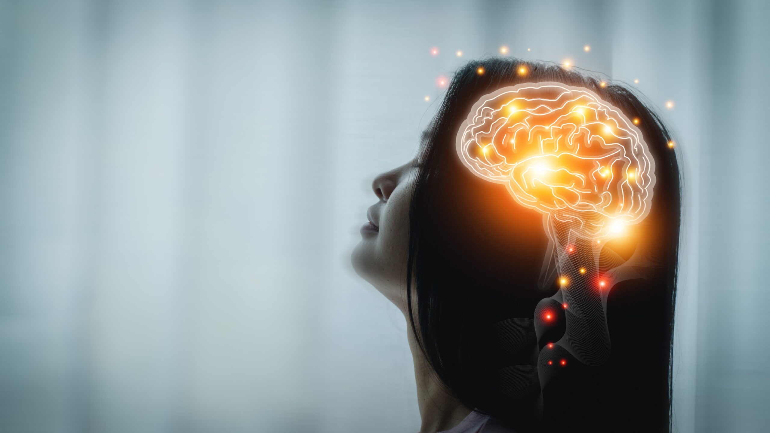 A Expansão do Apego no Cérebro Humano: Um Marco na Evolução Social