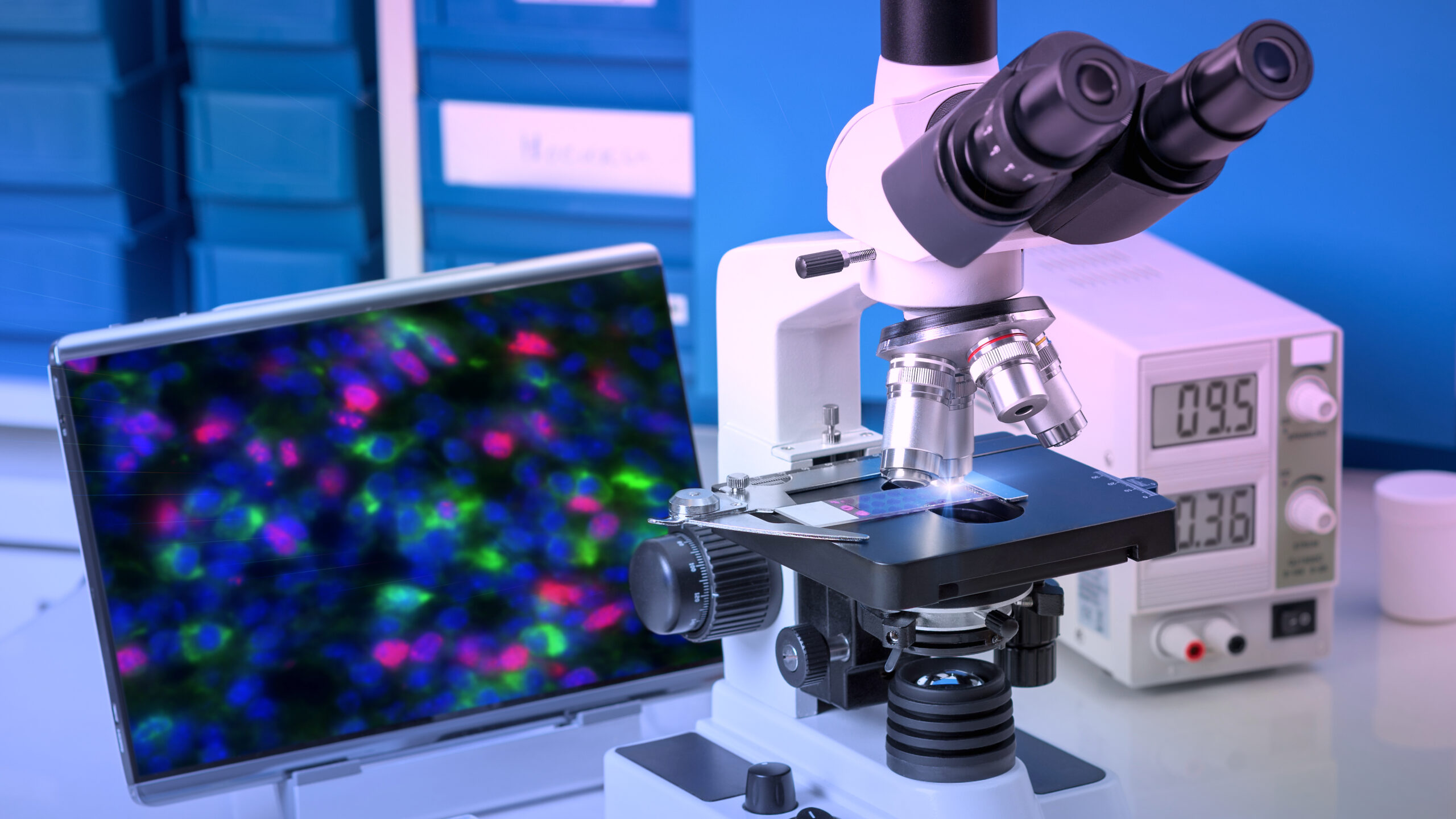 imagem de Turma aberta para a Pós-graduação em Macroscopia e Histotécnica em Patologia do IDOR!