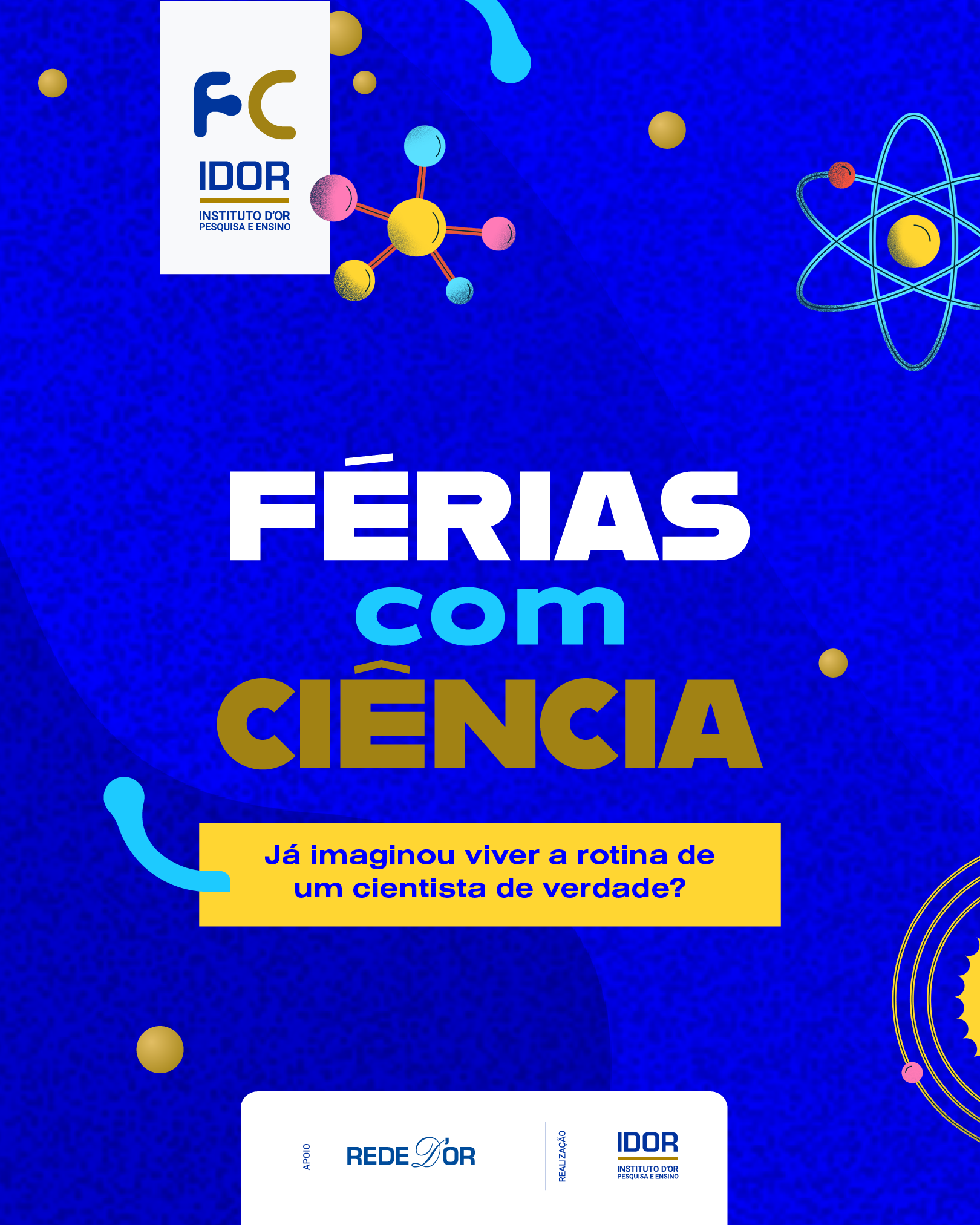 imagem de IDOR abre inscrições para edição de verão do programa Férias com Ciência