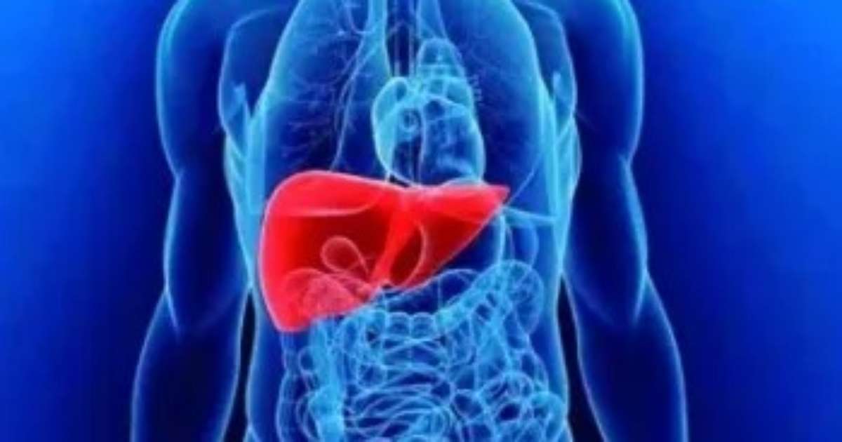 imagem de Portal Terra: IDOR São Paulo recebe evento relacionado a doenças do fígado