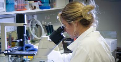 imagem de Unidade EMBRAPII de Biotecnologia Médica