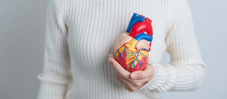 Estudo busca entender os mecanismos da doença cardiovascular em pacientes que recebem tratamento para o câncer de mama