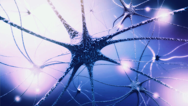 imagem de Esquizofrenia pode surgir no início do desenvolvimento cerebral